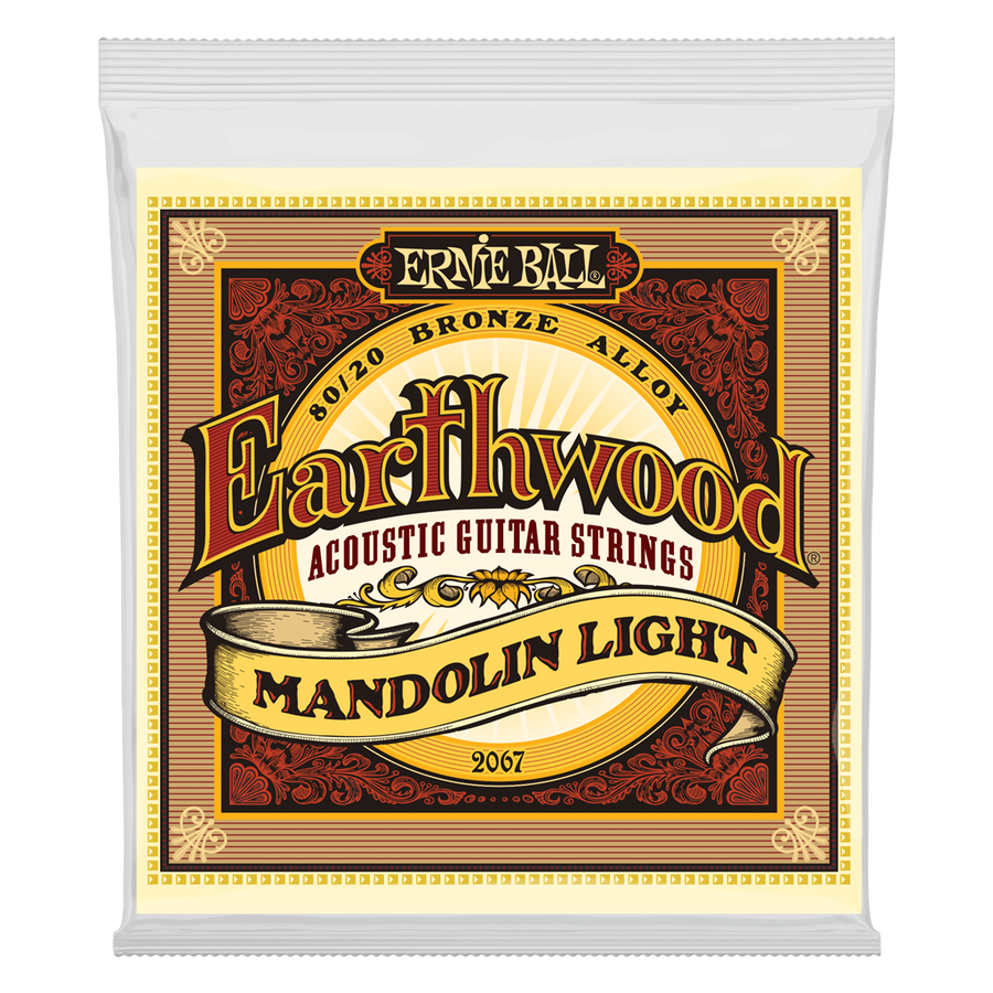 Ernie Ball Earthwood Acoustic