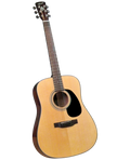 Bristol BD-16 Acoustic Guitar