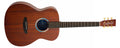 Tanglewood Elemental TE3BL