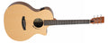 Tanglewood Metropolitan Series TM6CE