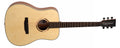Tanglewood Strada Series TS5