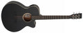 Tanglewood Blackbird TB4CE