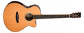 Tanglewood Smart Series TRS4CE